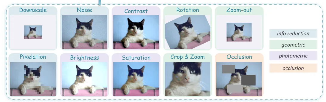 Composite showing categorized image augmentation types with taxonomy, illustrates dataset transformations