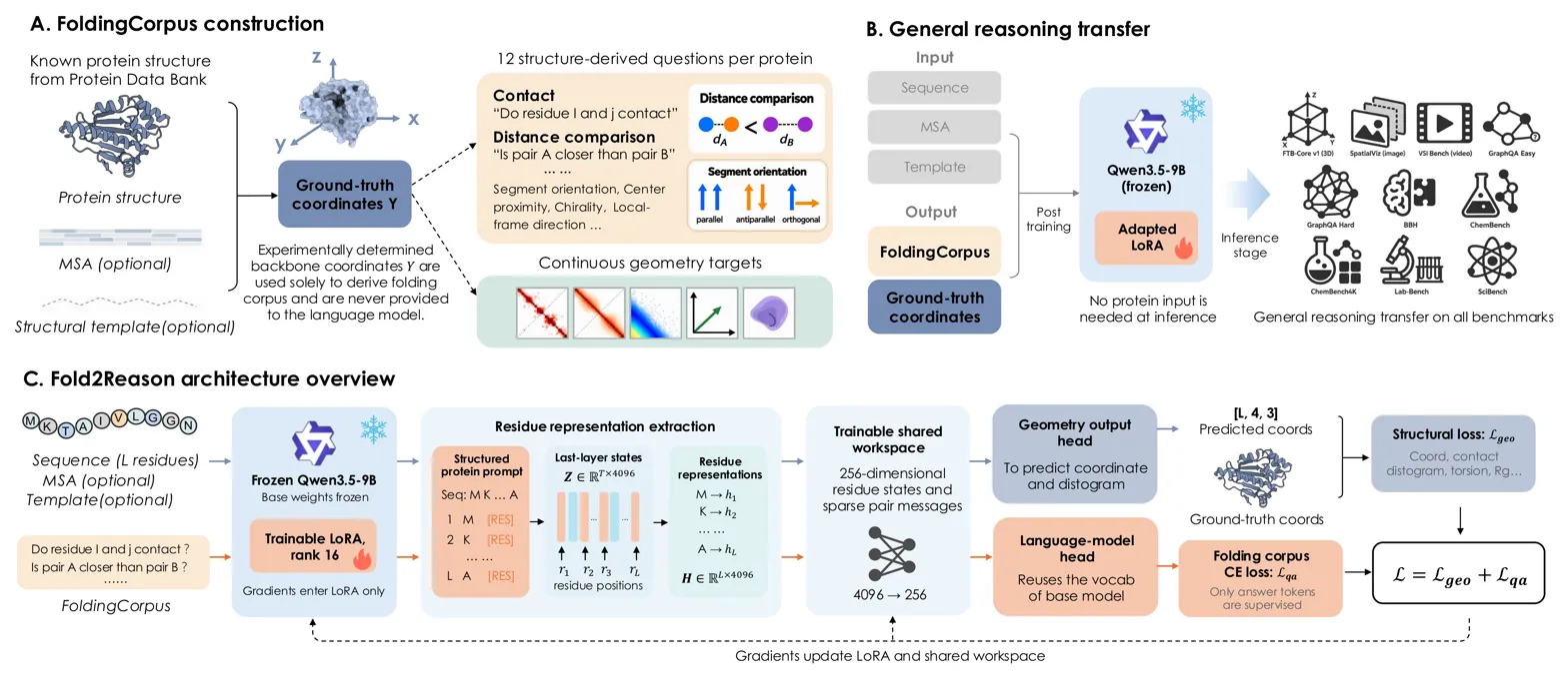 Full pipeline diagram showing corpus construction, architecture, and reasoning transfer method